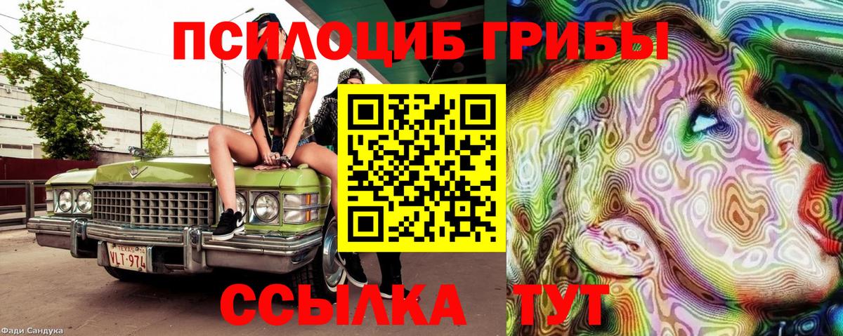 Саратов  Псилоцибиновые грибы прущие грибы  Вход с VPN  Псилоцибиновые грибы мицелий 